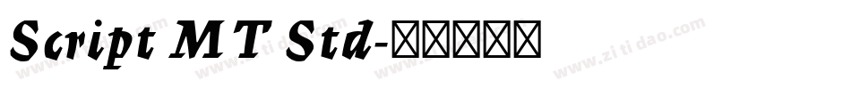 Script MT Std字体转换